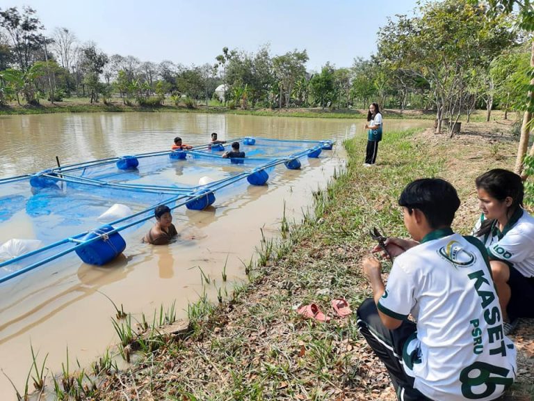 พิบูลสงครามบรรจุรายวิชา SDG เพื่อส่งเสริมความยั่งยืน