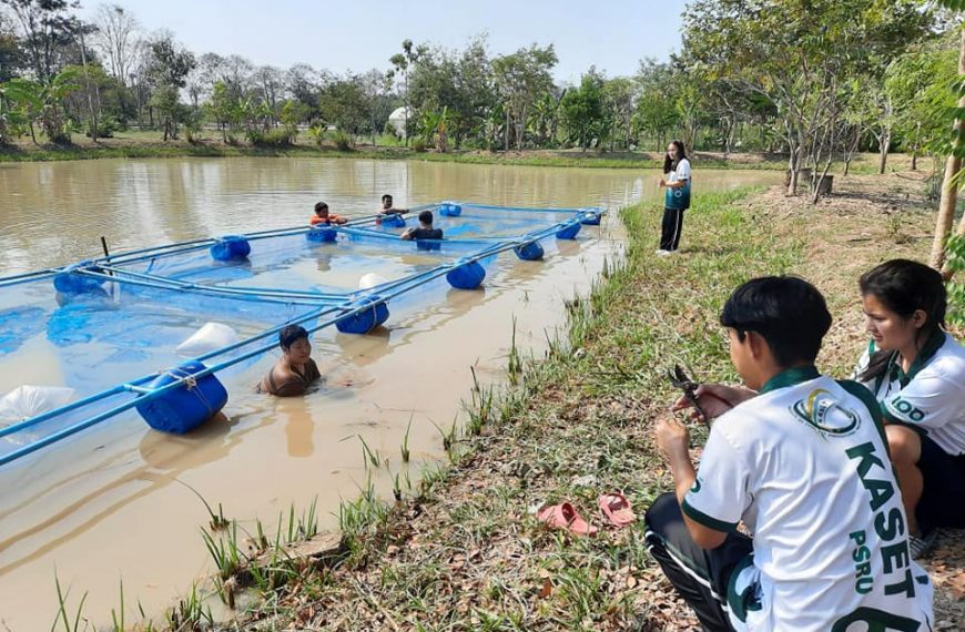 พิบูลสงครามบรรจุรายวิชา SDG เพื่อส่งเสริมความยั่งยืน