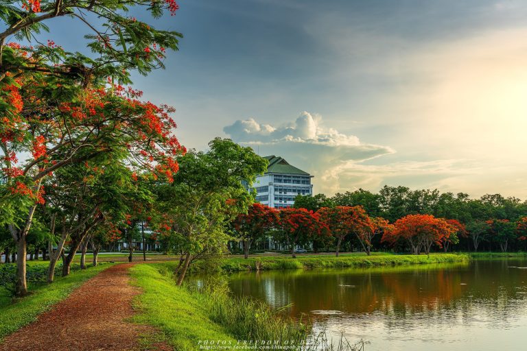 การจัดการน้ำและสุขาภิบาล